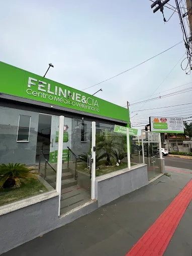 Fachada da Felinne & Cia — Centro Médico Veterinário, em Campo Grande/MS.