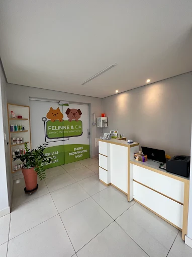 Recepção da Felinne & Cia, com balcão de atendimento e painel com a identidade da clínica.